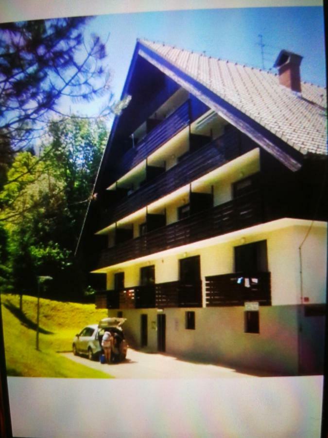 Planika B&M Apartment Bohinj ภายนอก รูปภาพ