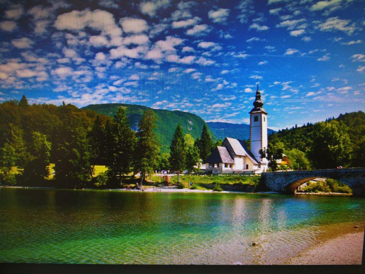 Planika B&M Apartment Bohinj ภายนอก รูปภาพ