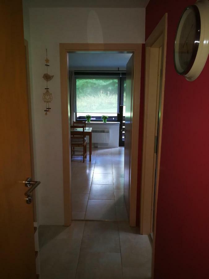 Planika B&M Apartment Bohinj ภายนอก รูปภาพ