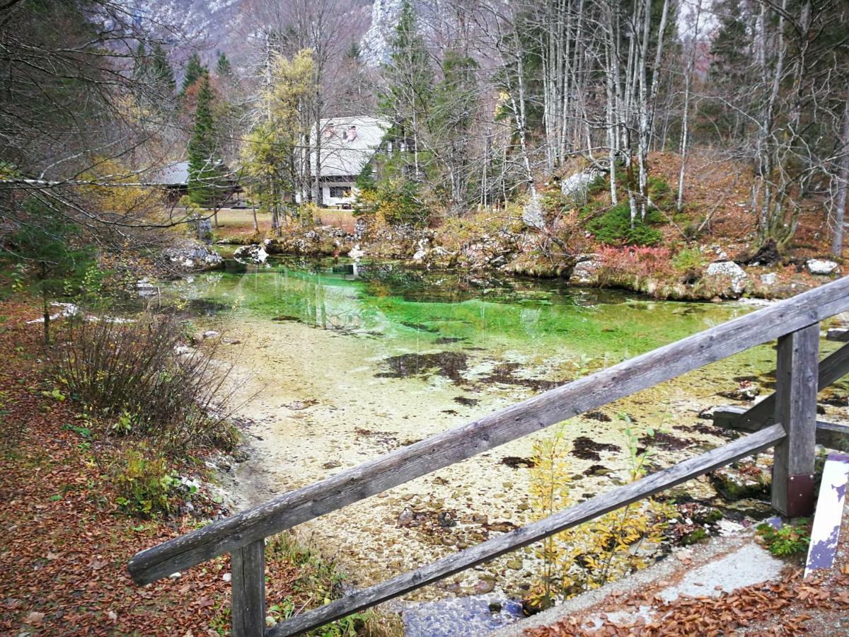 Planika B&M Apartment Bohinj ภายนอก รูปภาพ