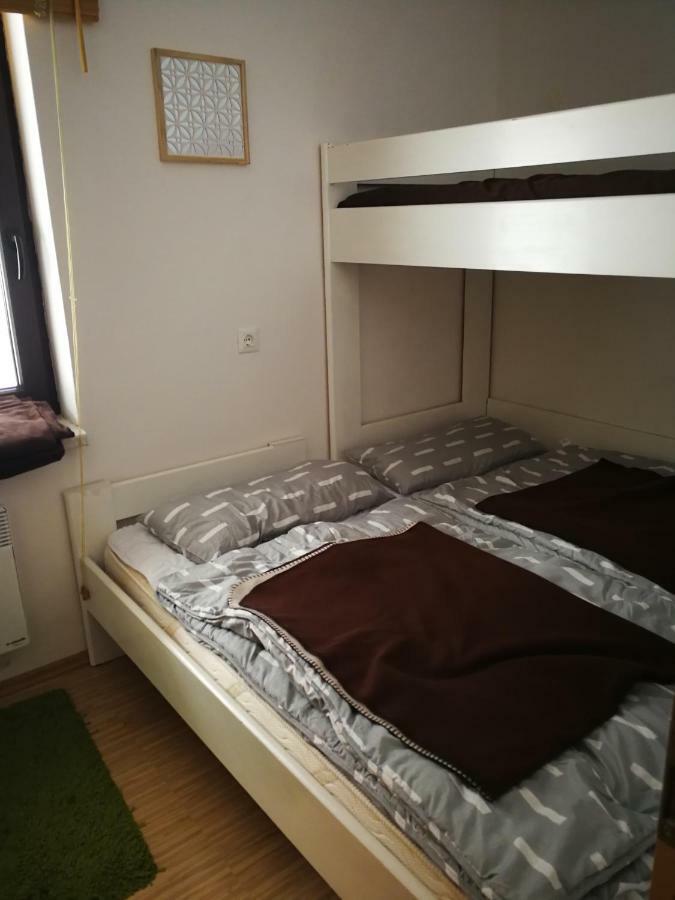 Planika B&M Apartment Bohinj ภายนอก รูปภาพ