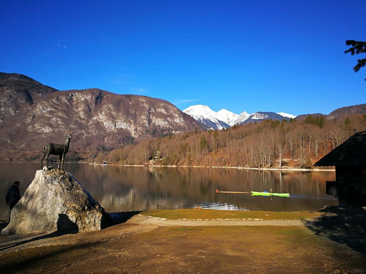 Planika B&M Apartment Bohinj ภายนอก รูปภาพ