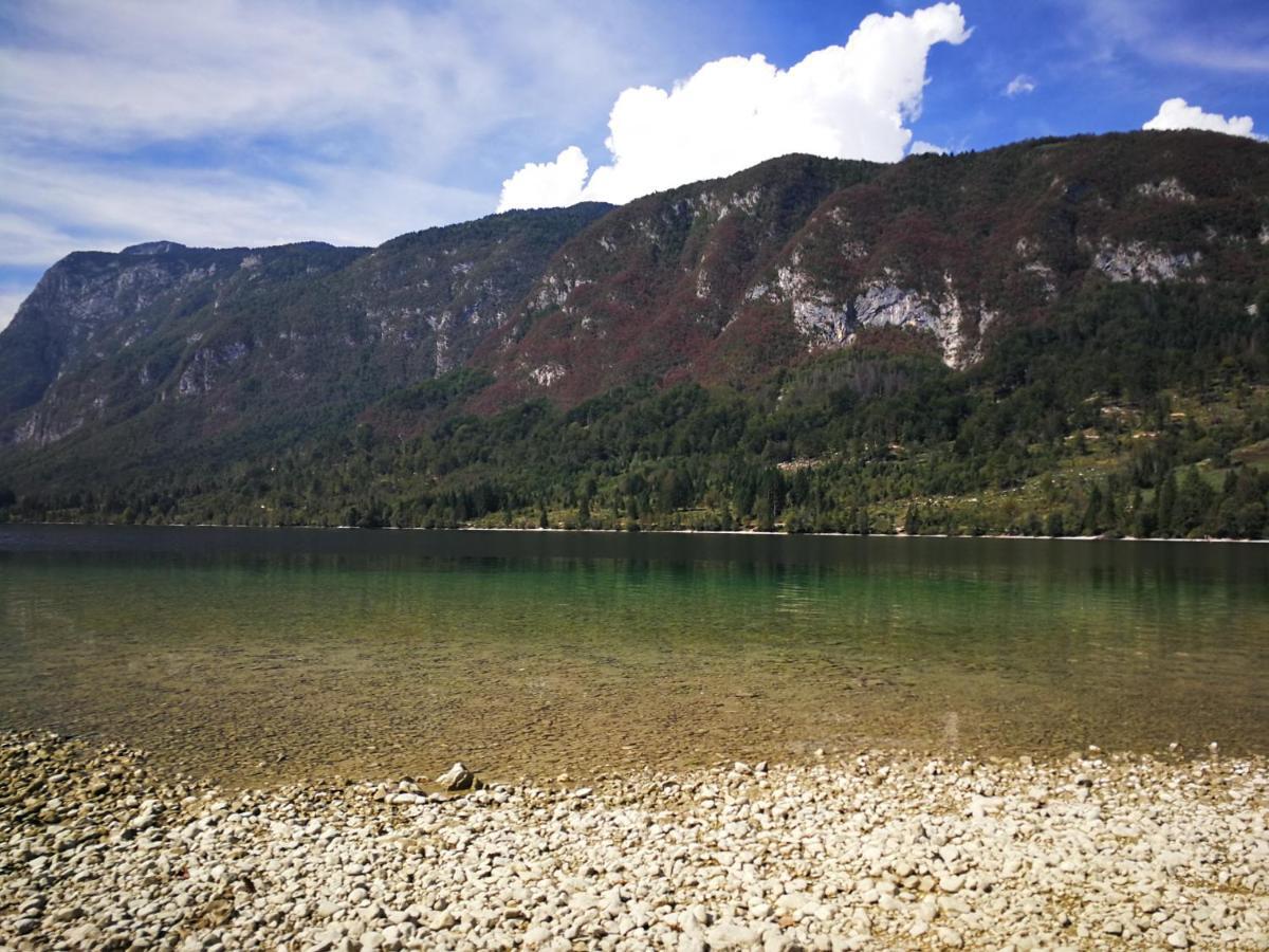 Planika B&M Apartment Bohinj ภายนอก รูปภาพ